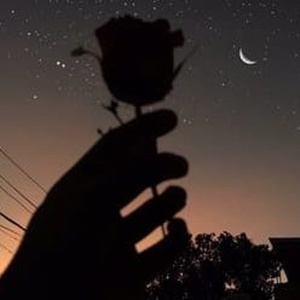 女🐔🐔蜜桃❌❌爽
