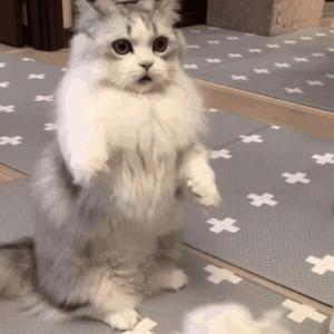 女🐔🐔蜜桃❌❌爽
