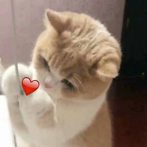 女🐔🐔蜜桃❌❌爽
