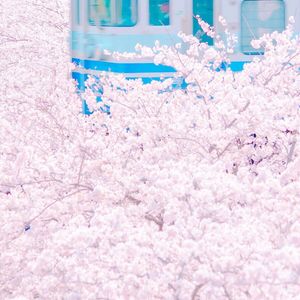 女🐔🐔蜜桃❌❌爽
