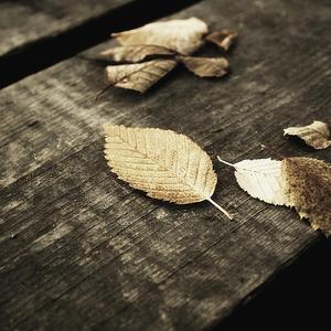 女🐔🐔蜜桃❌❌爽
